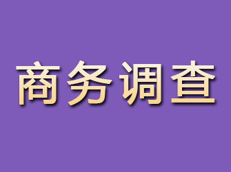 苏家屯商务调查